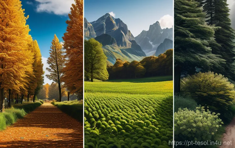 TESOL 자격증과 관련된 대회 참여 방법 - Here are three detailed image prompts in English, inspired by the provided text: